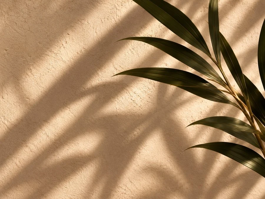 Olive branch casting soft shadows on a warm wall