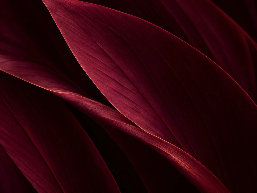 Deep plum botanical leaves